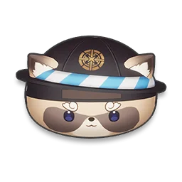 Raccoonie monsterling